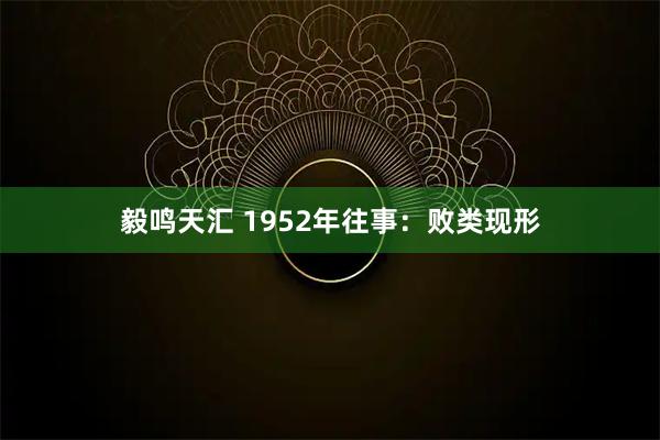 毅鸣天汇 1952年往事:败类现形