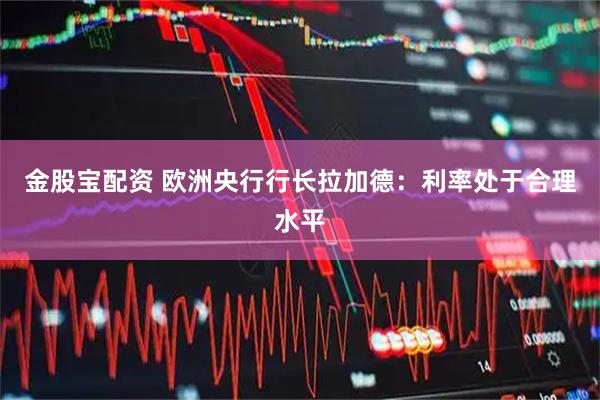 金股宝配资 欧洲央行行长拉加德：利率处于合理水平