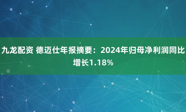 九龙配资 德迈仕年报摘要：2024年归母净利润同比增长1.18%