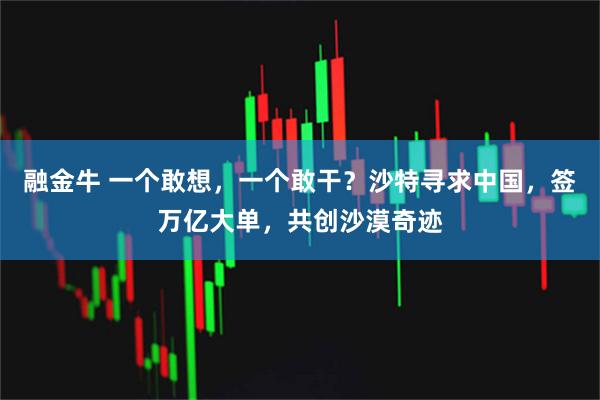 融金牛 一个敢想，一个敢干？沙特寻求中国，签万亿大单，共创沙漠奇迹